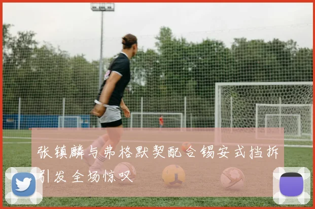 张镇麟与弗格默契配合锡安式挡拆引发全场惊叹